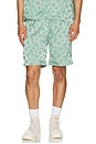 view 5 of 6 Polka Dot Shorts in Green