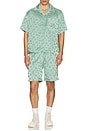 view 6 of 6 Polka Dot Shorts in Green