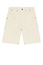 view 5 of 6 ШОРТЫ in Bone