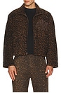 view 1 of 5 Cheetah Jacket in Brown