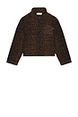 view 4 of 5 Cheetah Jacket in Brown