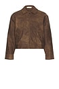 view 4 of 5 BLOUSON AGED in Brown