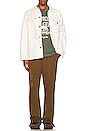 view 5 of 5 Prep School Pant in Olive