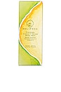 view 2 of 3 Kissimmee Vitamin F Therapy Balmy Face Wash in 