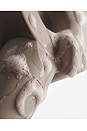 view 5 of 9 ALCACHOFA DE DUCHA SHOWER HEAD 2.0 in Beige
