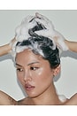 view 7 of 8 CHAMPÚ FULL LENGTH ANTI-BREAKAGE SHAMPOO in 