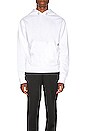 view 2 of 6 Standard Hoodie in Chalk White