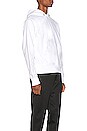 view 3 of 6 Standard Hoodie in Chalk White