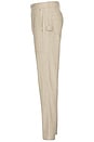 view 3 of 6 PANTALON in Beige