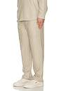 view 5 of 6 PANTALON in Beige