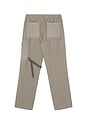 view 5 of 5 Relaxed Cargo Pant in Stone