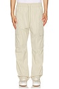 view 1 of 5 Utility Po Pant in Stone