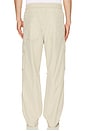 view 3 of 5 Utility Po Pant in Stone