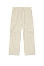 view 5 of 5 Utility Po Pant in Stone