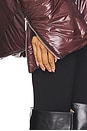 view 5 of 5 BLOUSON APEX COCOON in Burgundy