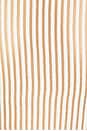 view 5 of 5 Stripe Crew Top in Ivory