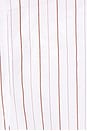view 4 of 4 Stripe Bubble Mini Dress in White & Brown Stripe