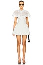 view 1 of 4 The Mademoiselle Mini Dress in Ivory