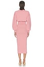 view 3 of 3 Hildie Polo Dress in Pink