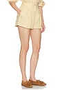 view 3 of 7 Washed Linen Pleated Short in Basket Beige