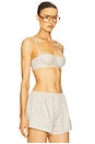 view 3 of 5 Pinstripe Poplin Bra in Cream & Black Stripe