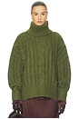 view 1 of 5 Claudiya Cable Turtleneck in Forest Green