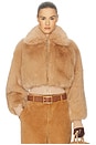 view 1 of 4 FAUX FOX BOMBER JACKET ジャケット in Bisque