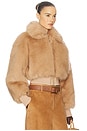view 2 of 4 FAUX FOX BOMBER JACKET ジャケット in Bisque