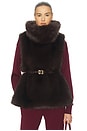 view 2 of 5 Faux Fox Gilet in Chicory