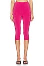 view 1 of 6 Beckette Knit Capri in Shocking Pink