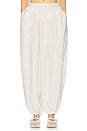 view 1 of 6 The Balloon Pants in Silk And Wool in Ivory