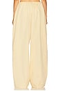 view 4 of 6 PANTALON COTTON TWILL PUFF PANT in Pale Yellow