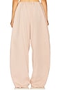 view 4 of 6 PANTALON COTTON TWILL PUFF PANT in Shell