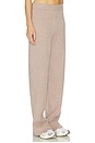 view 2 of 6 Saylor Cashmere Pant in Taupe