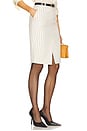 view 3 of 7 Pinstripe Pencil Skirt in Ivory & Brown Stripe