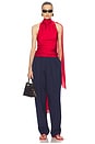 view 1 of 4 ТОП NATASHA SILK HALTER in Ruby Red