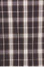 view 6 of 5 Waisted Button Down Shirt in Plaid in Brown Plaid