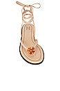 view 4 of 5 Lace Up Sandal in Nude