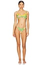 view 4 of 4 High Cut Cheeky Bikini Bottoms in Vivre Sa Vie