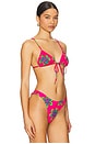 view 2 of 4 Triangle Front Tie Bikini Top in Curiosity Leads To Trouble