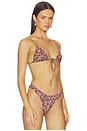 view 2 of 4 Triangle Front Tie Bikini Top in Dad's Tie