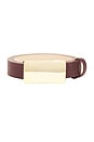 view 3 of 3 Plate Belt in Gold & Burgundy