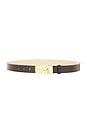 view 1 of 3 Gaia Patent Belt in Gold & Brown