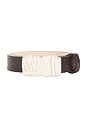view 3 of 3 Gaia Croc Belt in Silver & Brown