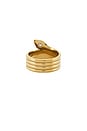 view 3 of 3 ANILLO ORIA in Gold & White