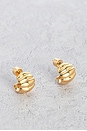 view 1 of 3 Terre Hoop Earrings in Gold