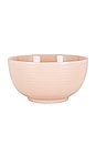 view 2 of 6 Essential Large Bowl Set Of 4 in Blush