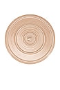 view 4 of 4 Essential Serving Platter in Blush