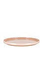view 2 of 6 Essential Dinner Plate Set Of 4 in Blush