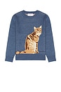 view 4 of 5 The Ginger Cat Sweater in Mid Blue